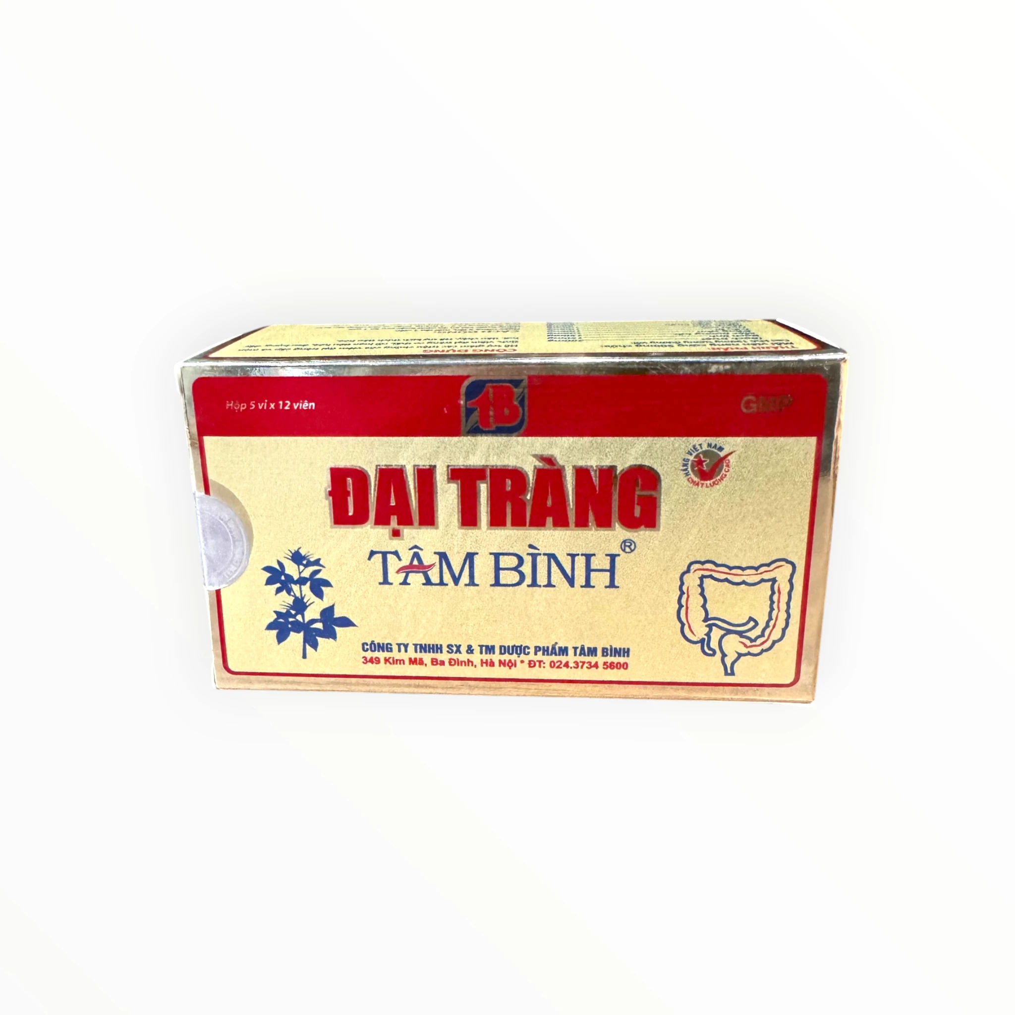 01 Đại tràng Tâm Bình