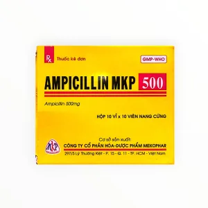 1 Ampicilin MKP 500