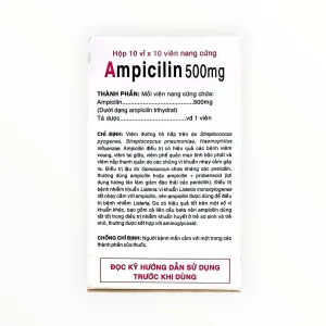 1 Ampicillin 500mg