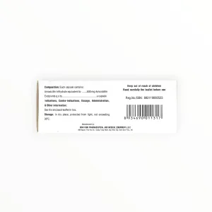 Thuốc Bidimoxy 500mg Amoxicillin điều trị nhiễm khuẩn (Hộp 10 vỉ x 10 viên) 6 1 Bidimoxy 2