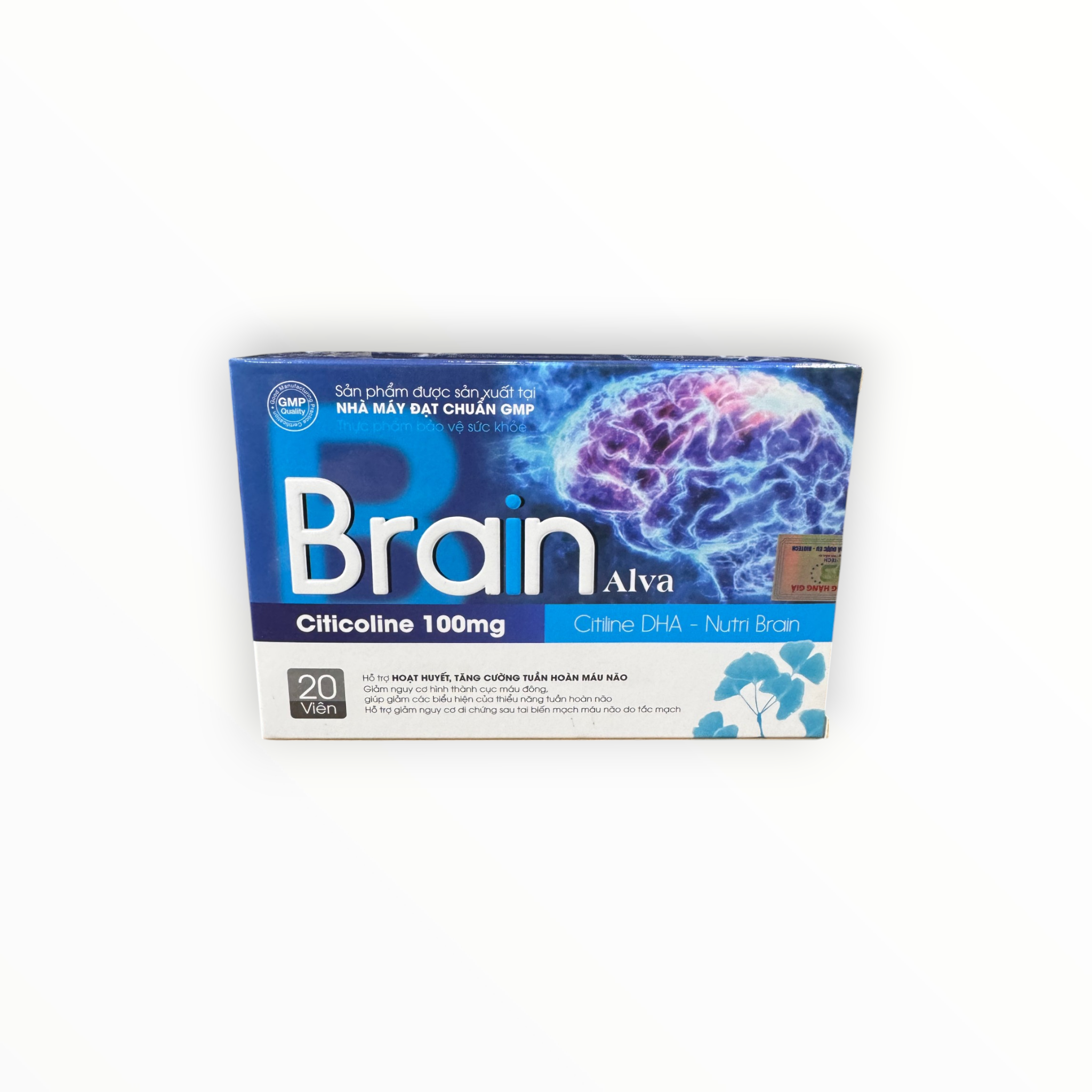 1 Brain Alva