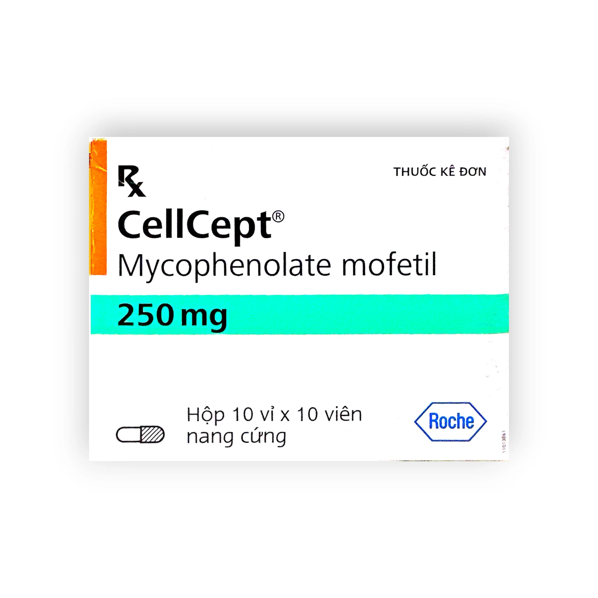 Viên nang cứng CellCept Mycophenolate mofetil 250 mg ức chế miễn dịch dự phòng thải ghép (Hộp 10 vỉ x 10 viên nang cứng) 1 1 CellCept