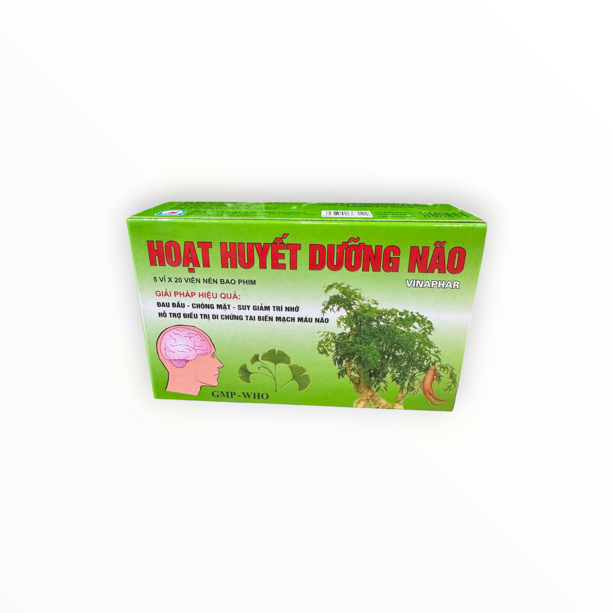 1 Hoạt huyết dưỡng não