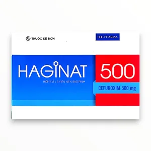 1 haginat 500