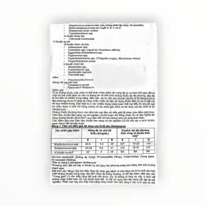 Viên nang cứng Clyodas 300 Clindamycin 300mg kháng khuẩn lincosamid, trị nhiễm khuẩn hô hấp, da, xương khớp (Hộp 2 vỉ x 10 viên nang cứng) 21 10 clyodas 300