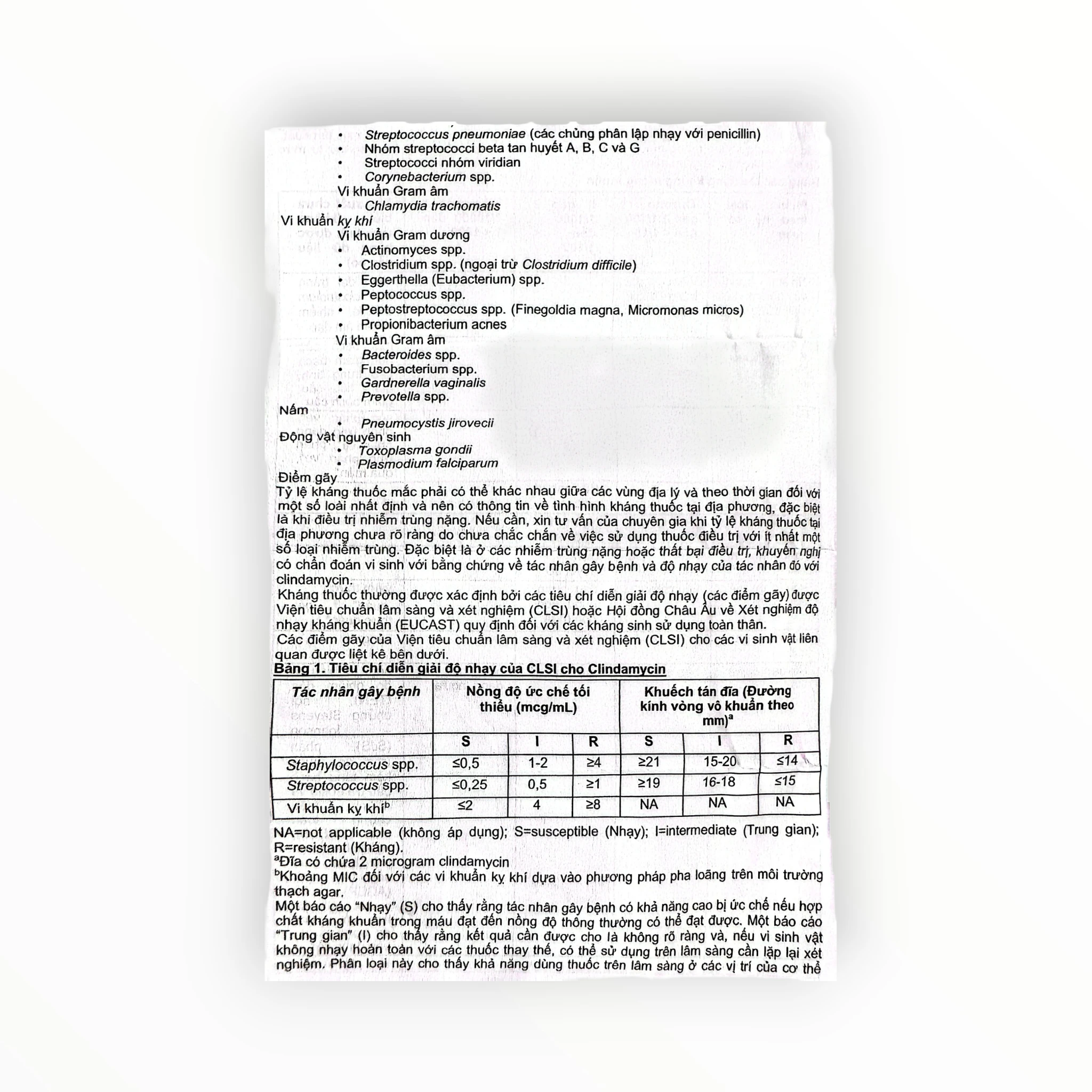 Viên nang cứng Clyodas 300 Clindamycin 300mg kháng khuẩn lincosamid, trị nhiễm khuẩn hô hấp, da, xương khớp (Hộp 2 vỉ x 10 viên nang cứng) 10 10 clyodas 300