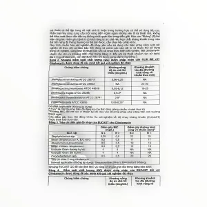 Viên nang cứng Clyodas 300 Clindamycin 300mg kháng khuẩn lincosamid, trị nhiễm khuẩn hô hấp, da, xương khớp (Hộp 2 vỉ x 10 viên nang cứng) 22 11 clyodas 300