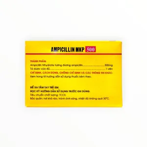 2 Ampicilin MKP 500