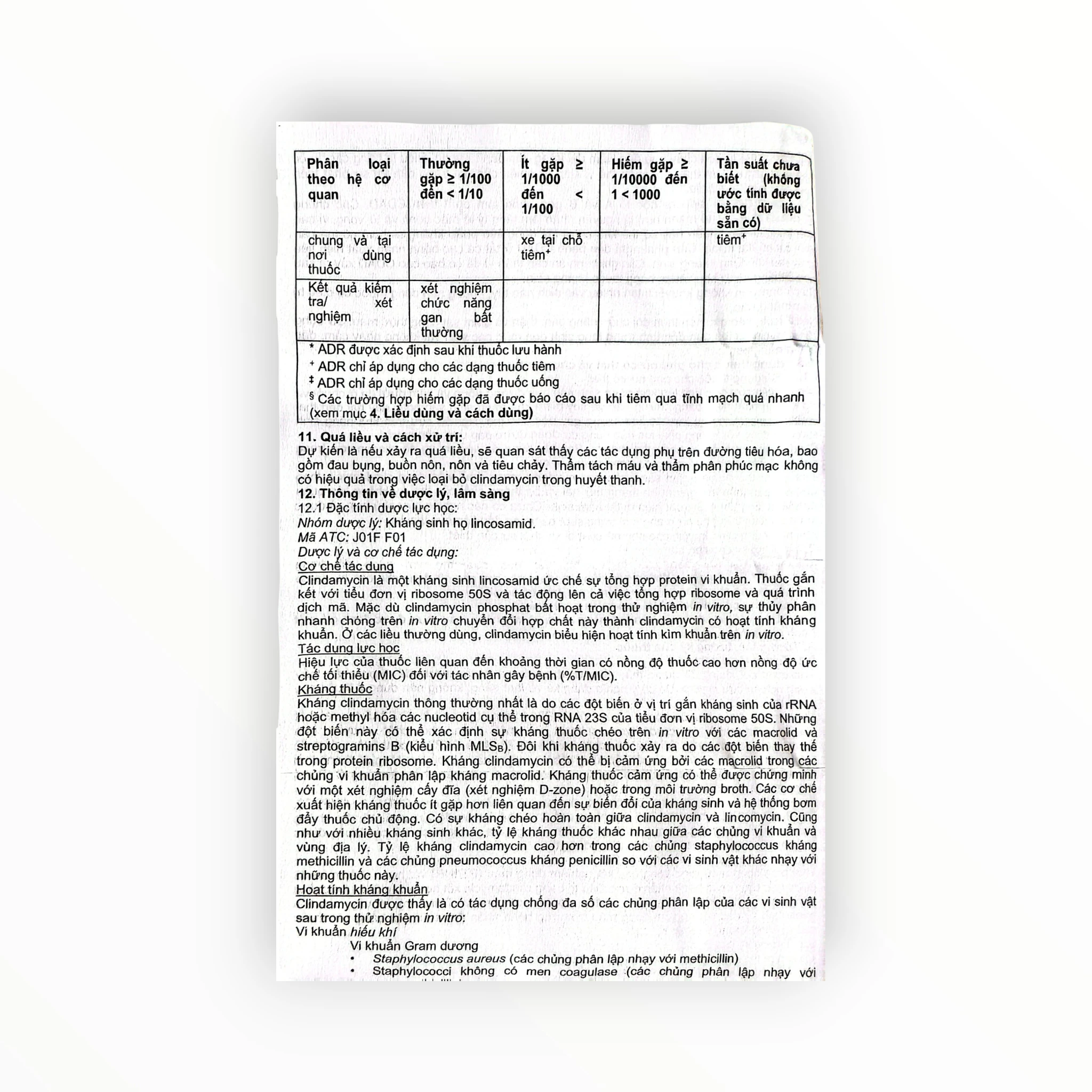 Viên nang cứng Clyodas 300 Clindamycin 300mg kháng khuẩn lincosamid, trị nhiễm khuẩn hô hấp, da, xương khớp (Hộp 2 vỉ x 10 viên nang cứng) 9 9 clyodas 300