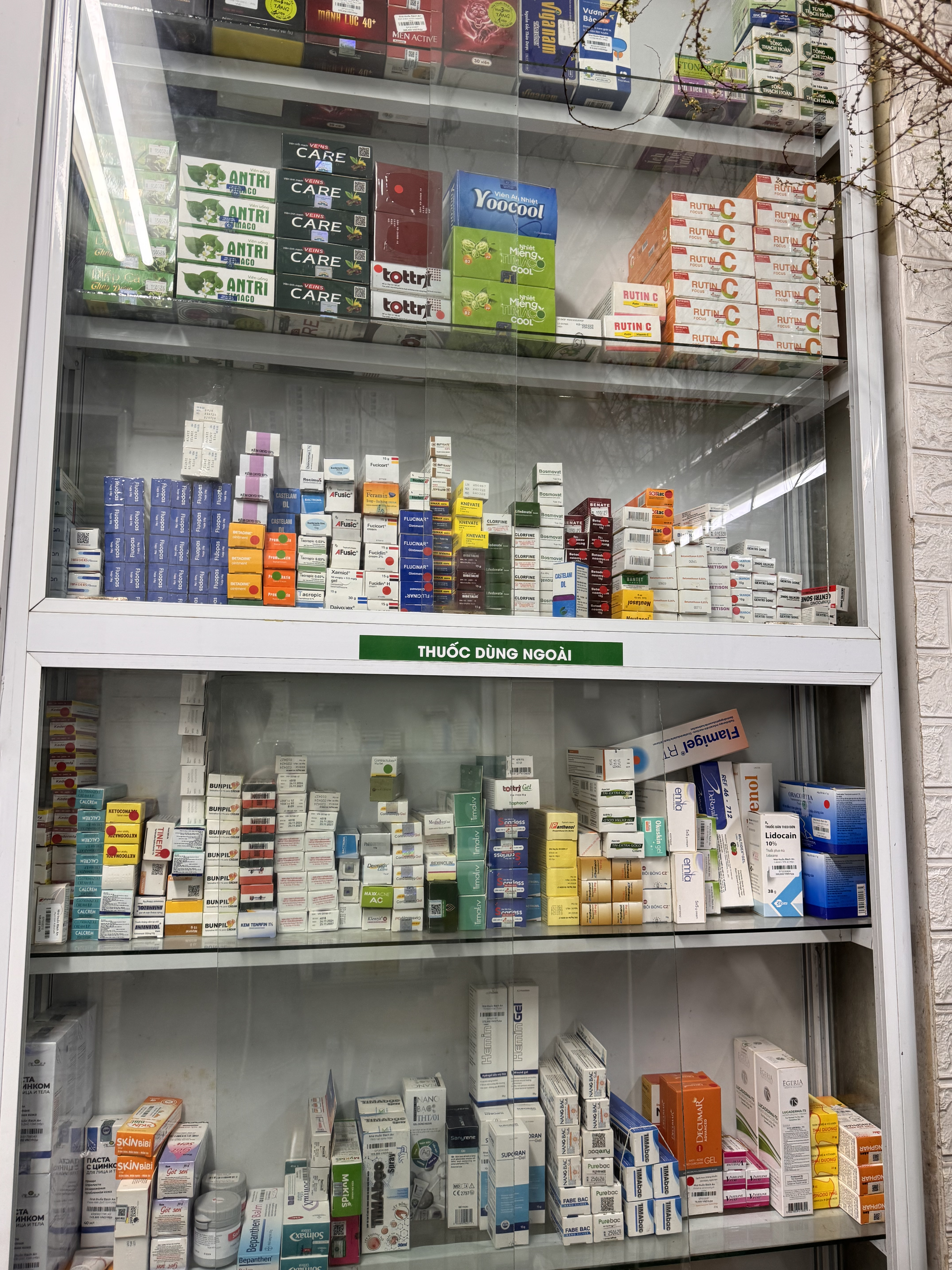 Giới thiệu 4 IMG 9512