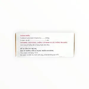 Vitamin B6 250mg Mekophar - hộp 2